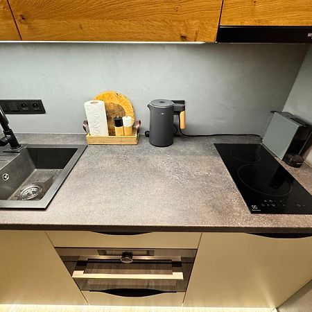 Apartman Vista Rokytnice 로끼뜨니쩨나드이제로우 외부 사진