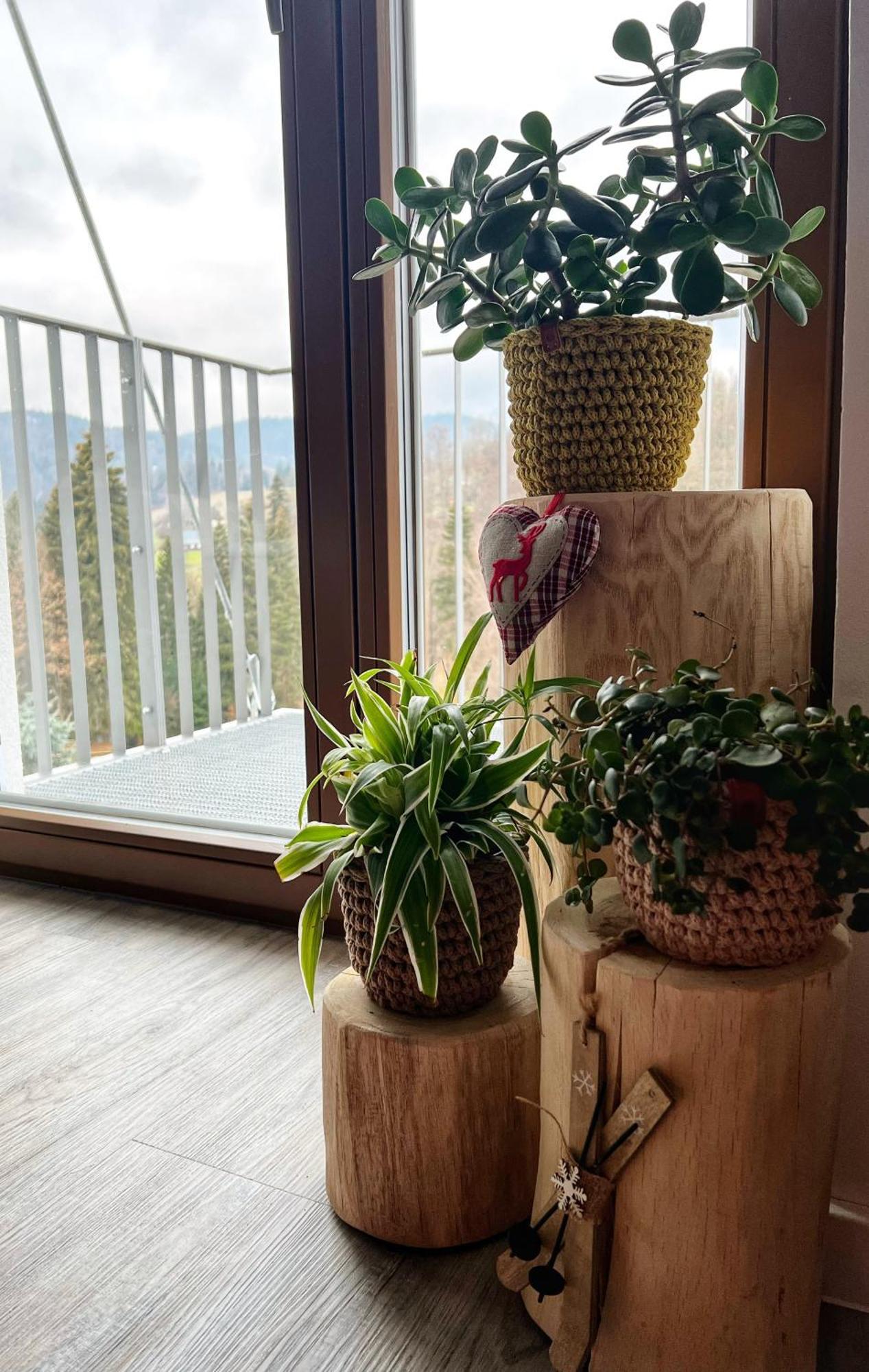 Apartman Vista Rokytnice 로끼뜨니쩨나드이제로우 외부 사진