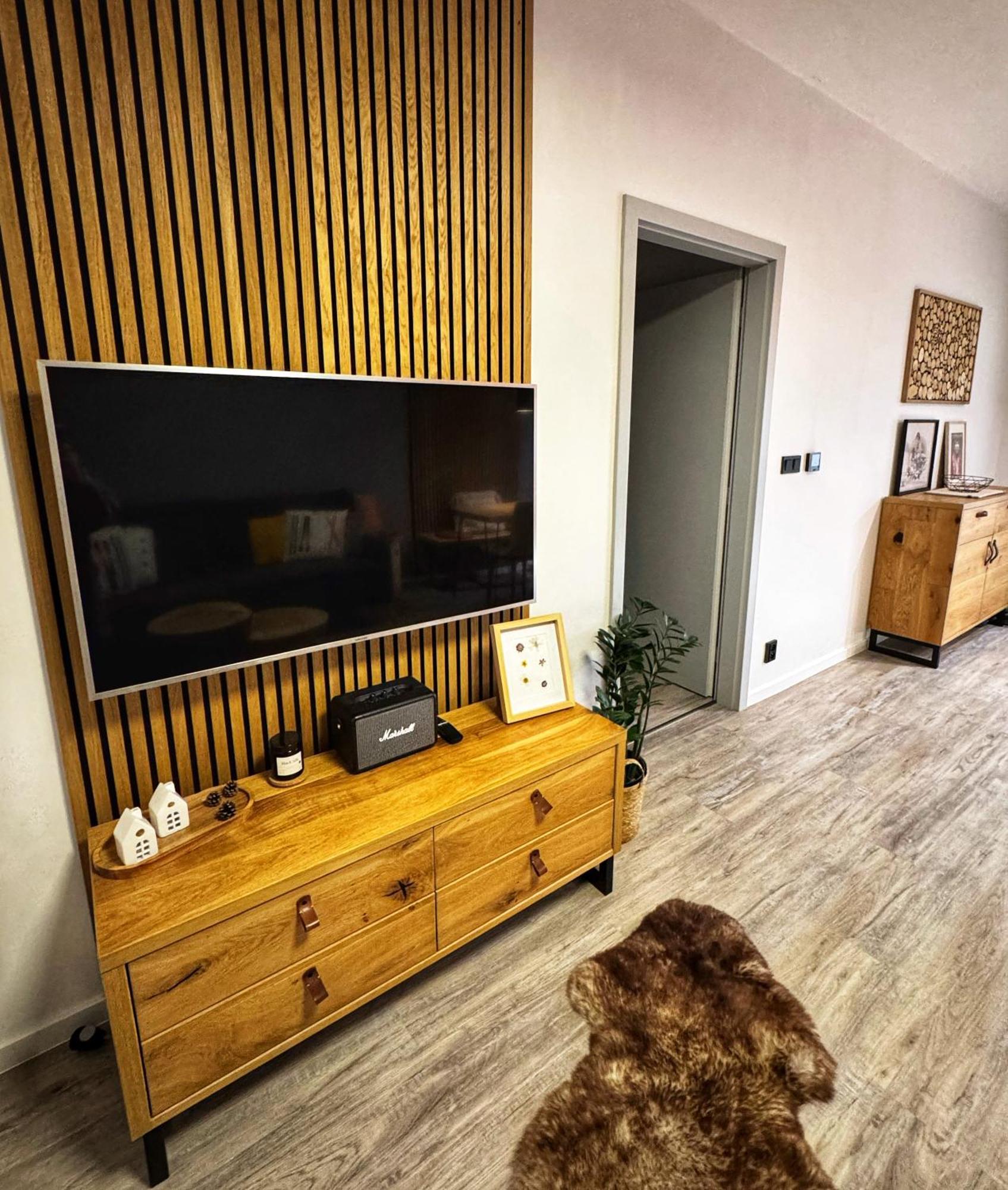 Apartman Vista Rokytnice 로끼뜨니쩨나드이제로우 외부 사진